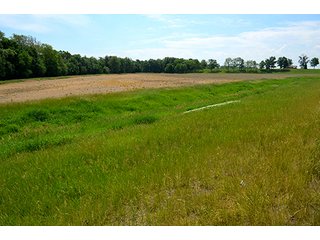 Property photo 66 - FARM & LAND AUCTION - 125+/- ACRES OFFERED IN 5 TRACTS IN EAST ALLEN COUNTY, INDIANA